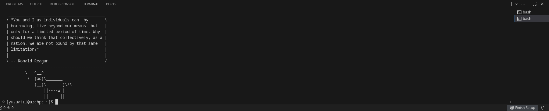 A terminal open in VS Code